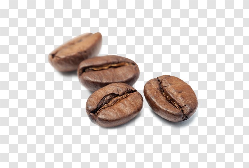 Jamaican Blue Mountain Coffee Cocoa Bean Caffeine Commodity Cacao Tree - Water Transparent PNG