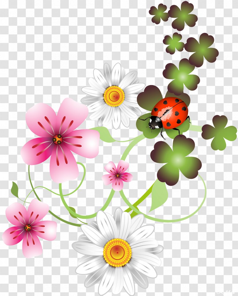 Saint Patrick's Day Holiday Clip Art - Floristry Transparent PNG