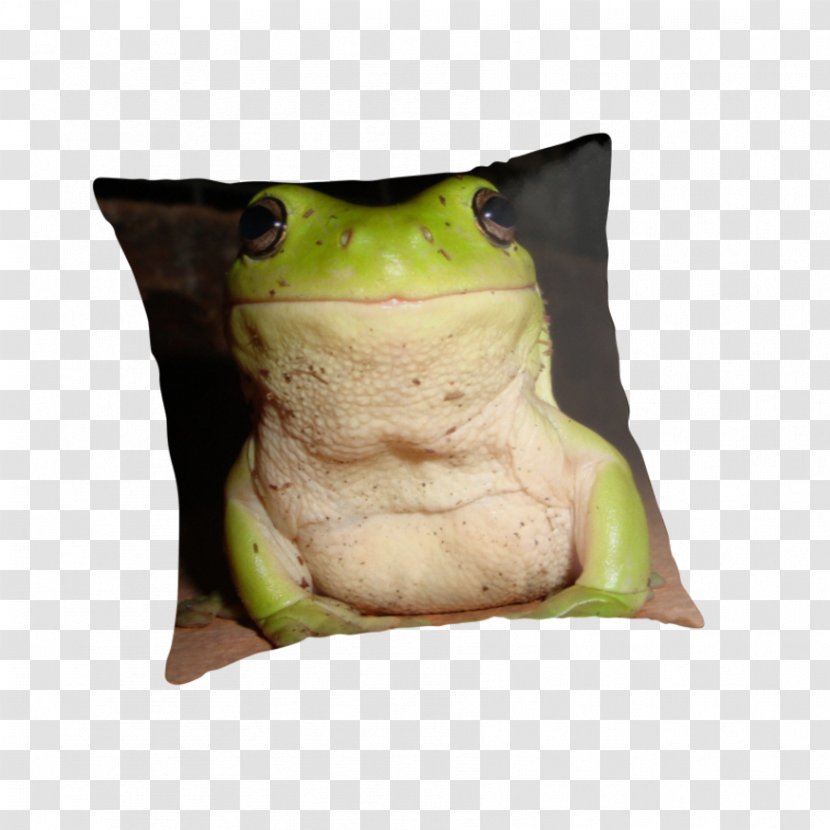 Tree Frog Throw Pillows True Cushion - Ranidae - Pillow Transparent PNG