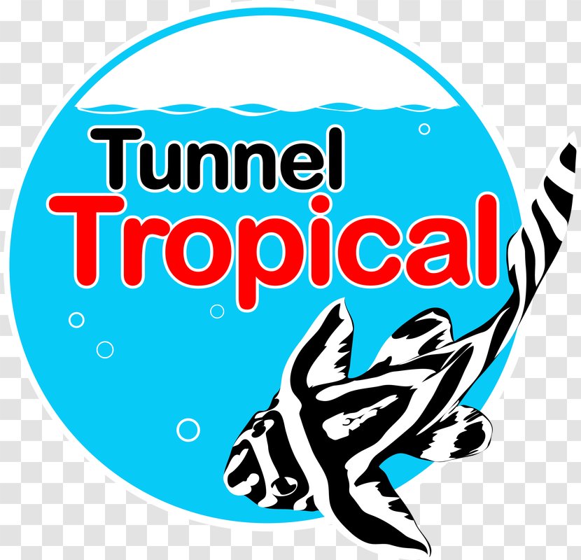 Butterfly Koi Aquatic Plants Tropical Fish Tunnel Aquatics. - Shubunkin Goldfish Transparent PNG