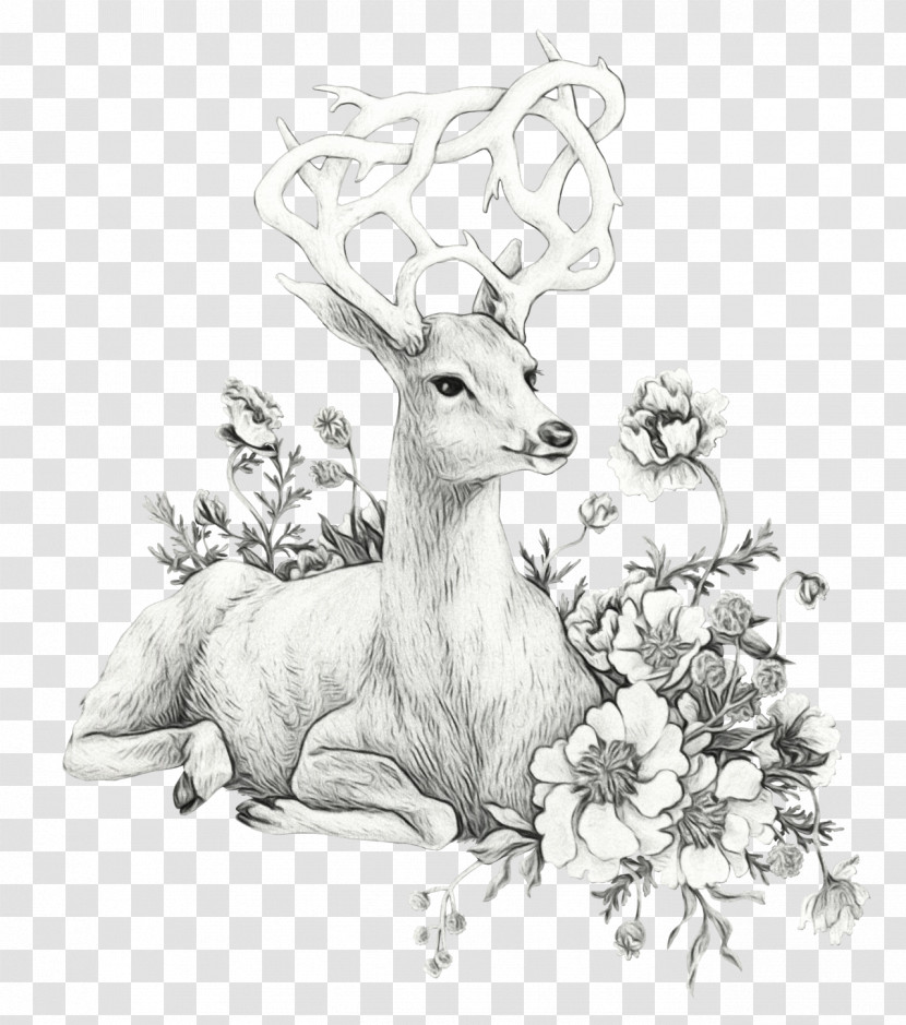 Deer Wildlife Drawing Roe Deer Line Art Transparent PNG