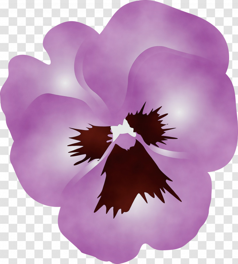 Violet Purple Petal Flower Plant Transparent PNG