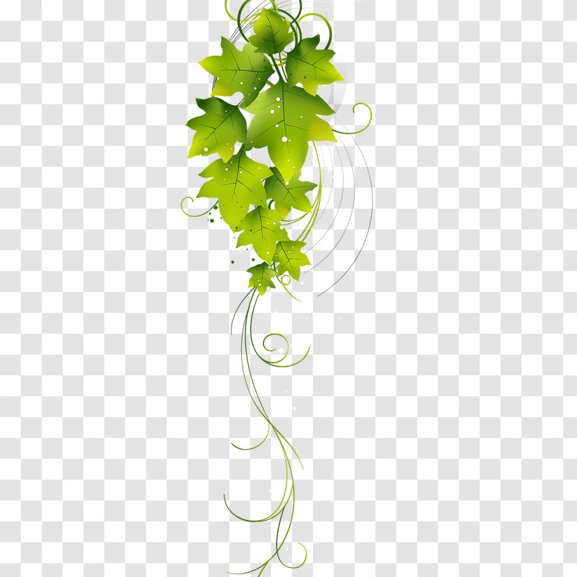 Misgurnus Fossilis Clip Art Illustration Photography Image - Green - Leaf Transparent PNG