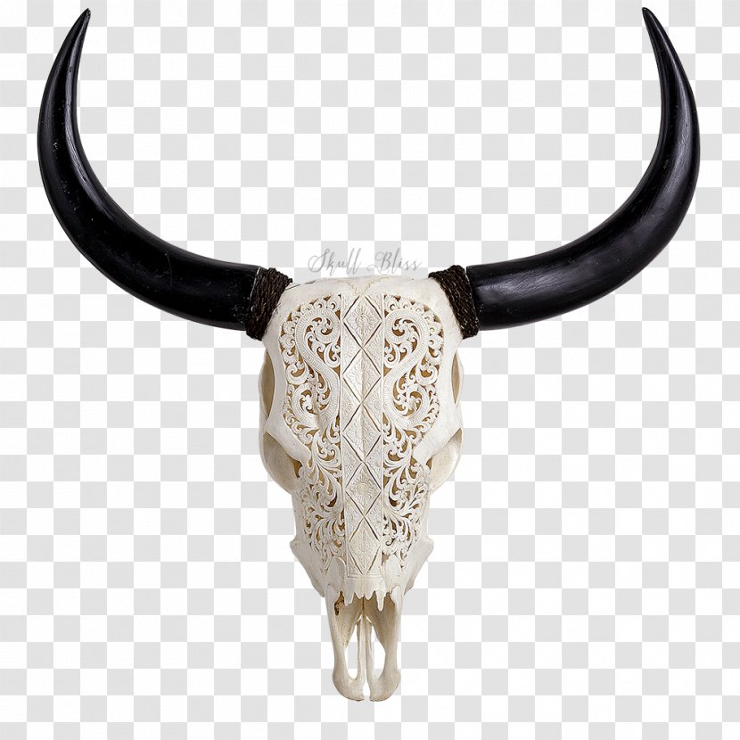 Cattle XL Horns Skull Bone - Delivery Transparent PNG