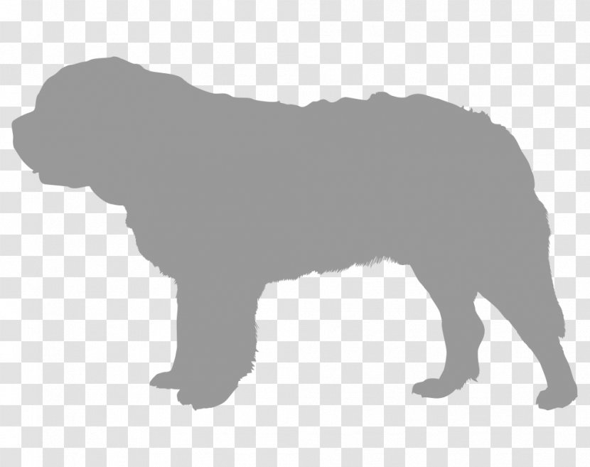 Dog Breed Puppy Sporting Group Snout Transparent PNG