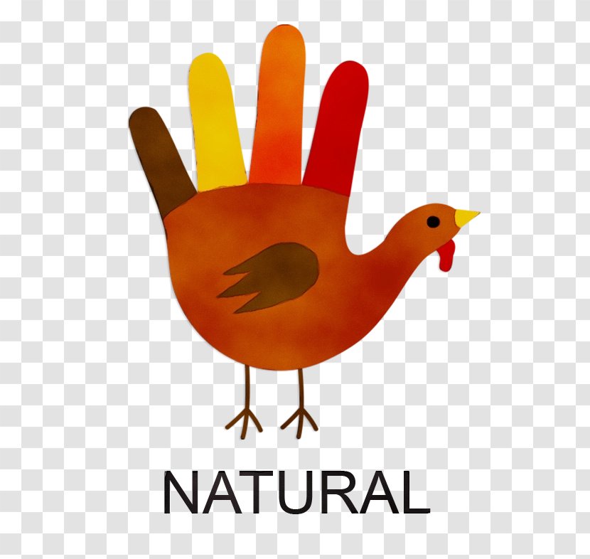 Thanksgiving Turkey Logo - Beak Transparent PNG