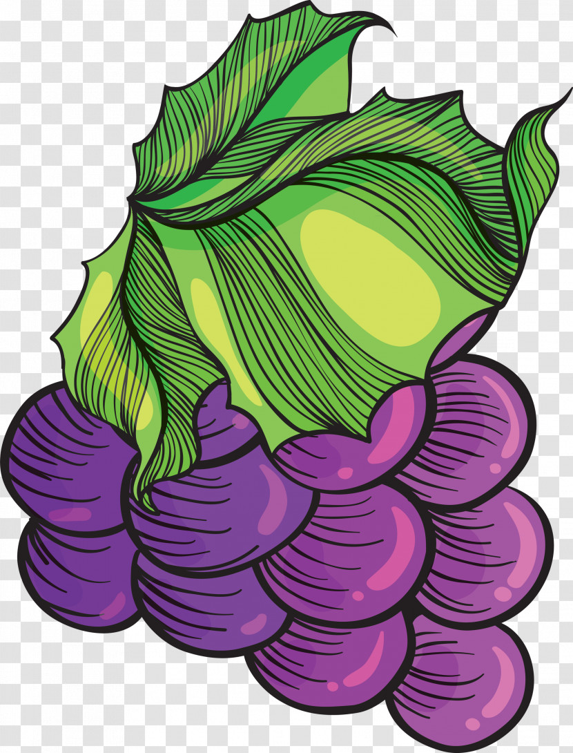 Vegetable Harvest Autumn Transparent PNG