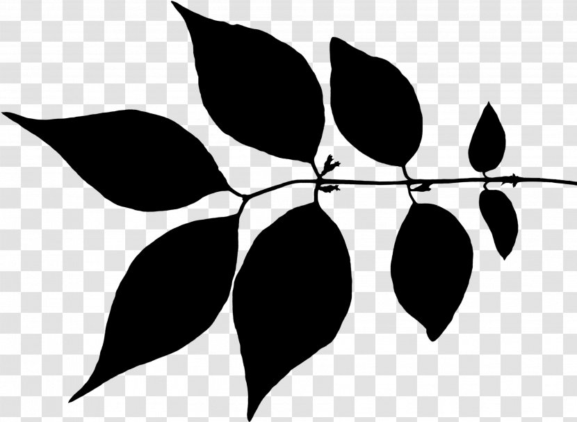Clip Art Leaf Plant Stem Flower Pattern - Plants - Tree Transparent PNG