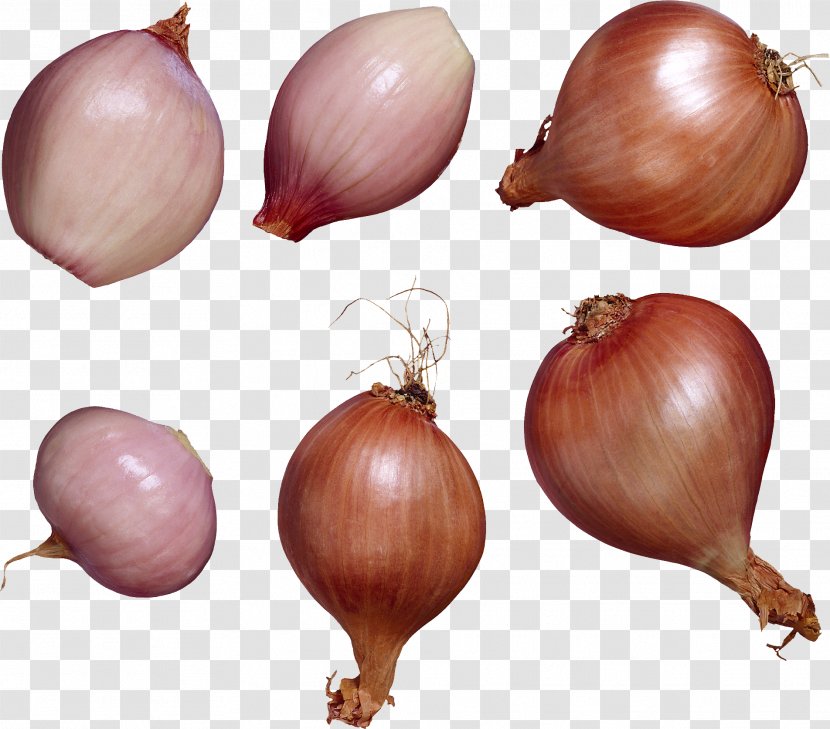 Shallot Garlic Vegetable Allium Chinense Flavor - Ingredient Transparent PNG