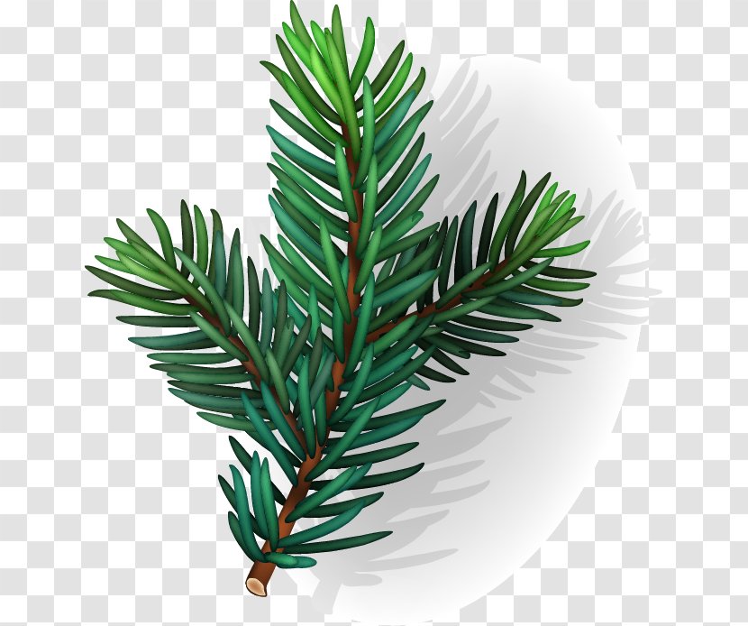 Hand-painted Conifer Leaf Pattern - Flower - Tree Transparent PNG