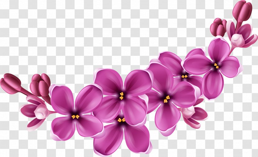Purple Health Products Centre Flower - Blossom Transparent PNG