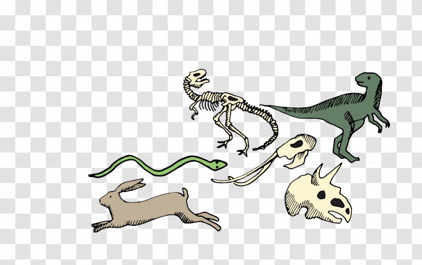 Reptile Dinosaur - Amphibian Transparent PNG