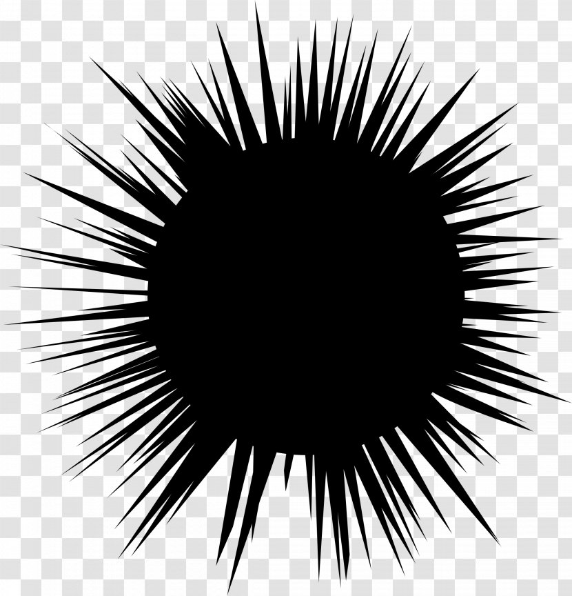 Sea Urchin Hedgehog Silhouette Clip Art - Eye - Star Transparent PNG