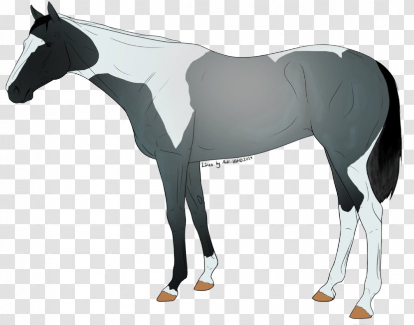 Mustang Stallion Foal Colt Mare - Horse Supplies Transparent PNG