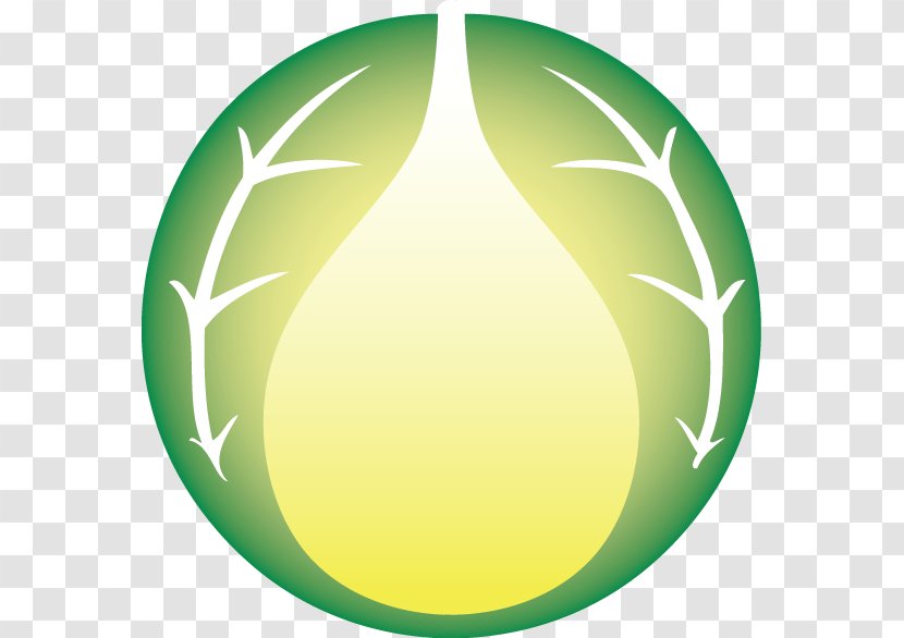 Circle Oval Sphere Green - Leaf - The Transparent PNG