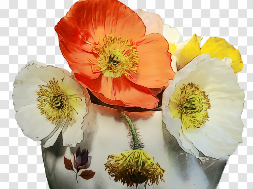 Cut Flowers Wildflower Anemone Petal Flower Transparent PNG