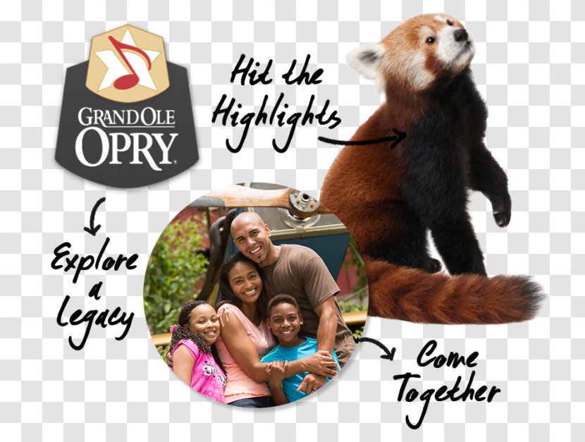 Mammal Grand Ole Opry Human Behavior Transparent PNG