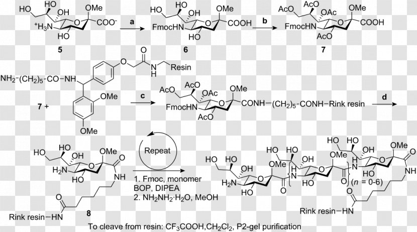 Sodium Bicarbonate Structure Chloride Buffer Solution - Flower - Frame Transparent PNG