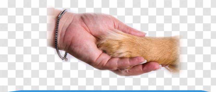 Dog Animal-assisted Therapy Psychotherapist Autism Therapies - Animalassisted - Zoo Animal Transparent PNG