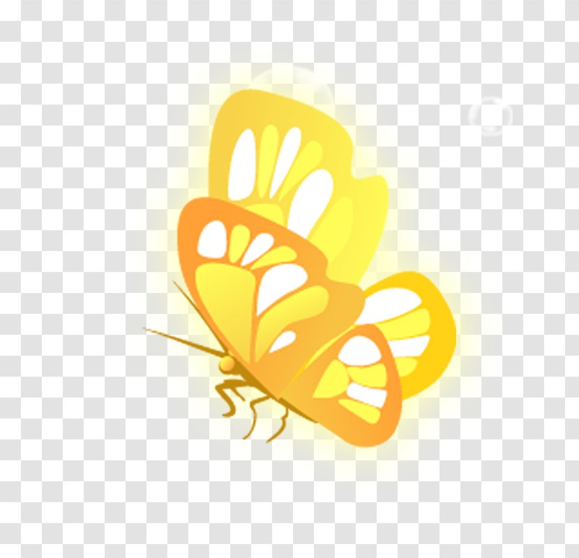 Butterfly Yellow - Orange Transparent PNG
