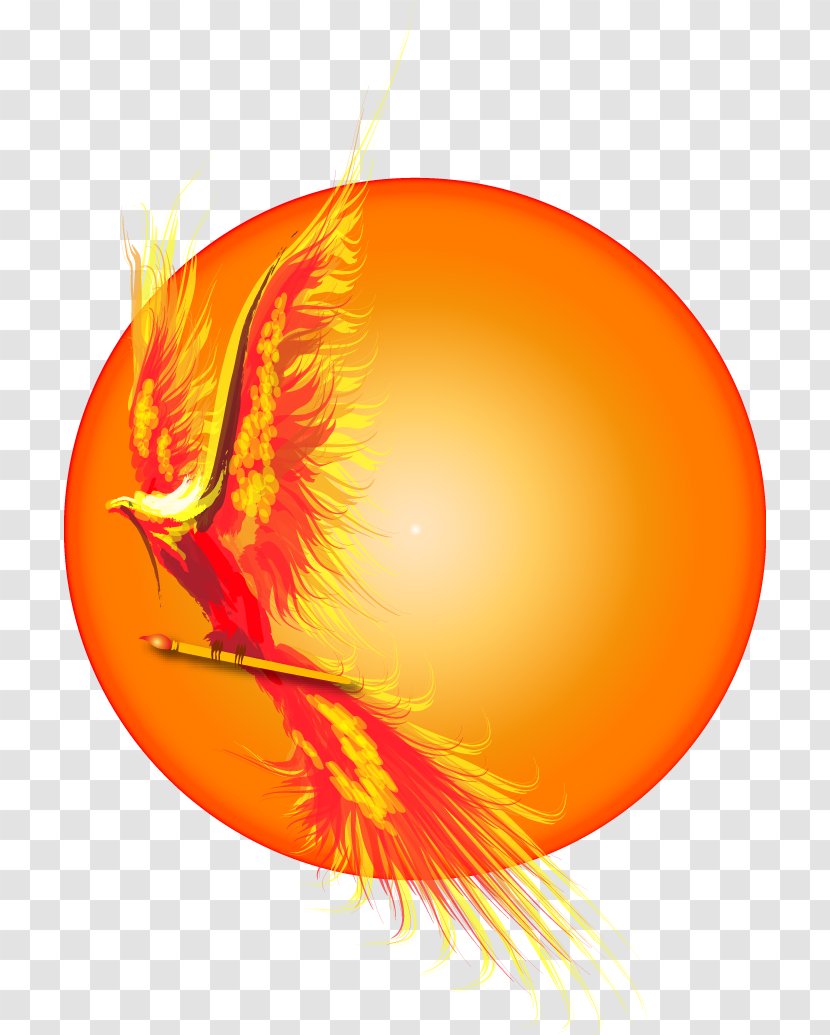 Illustration Clip Art Drawing Phoenix - Apostrophe Transparent PNG