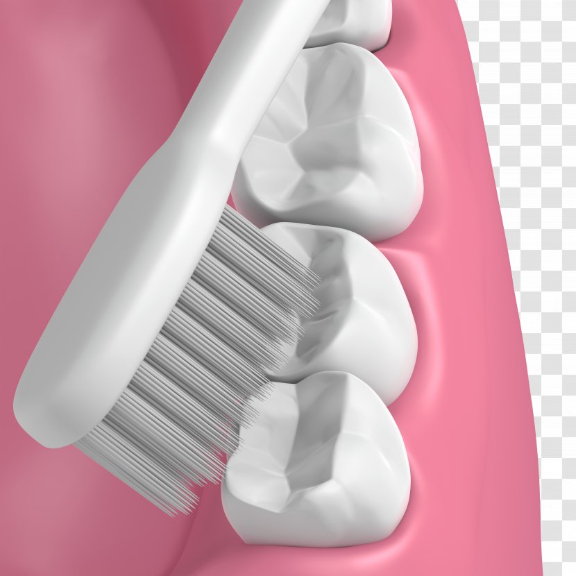 Tooth Brushing Bad Breath Mouth Dentistry - Cartoon - Dental Model Transparent PNG