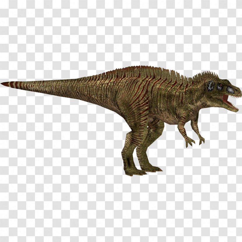 Tyrannosaurus Acrocanthosaurus Jurassic Park: Operation Genesis Velociraptor Primal Carnage: Extinction - Computer Software - Park Transparent PNG