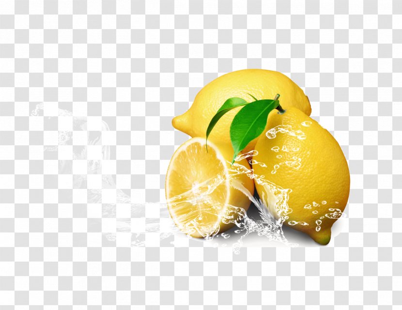 Lemon-lime Drink Lemonade Food - Citrus - Lemon Transparent PNG