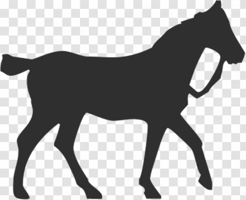 Horse Silhouette Equestrian Pet - Stallion - Whitehorse Transparent PNG