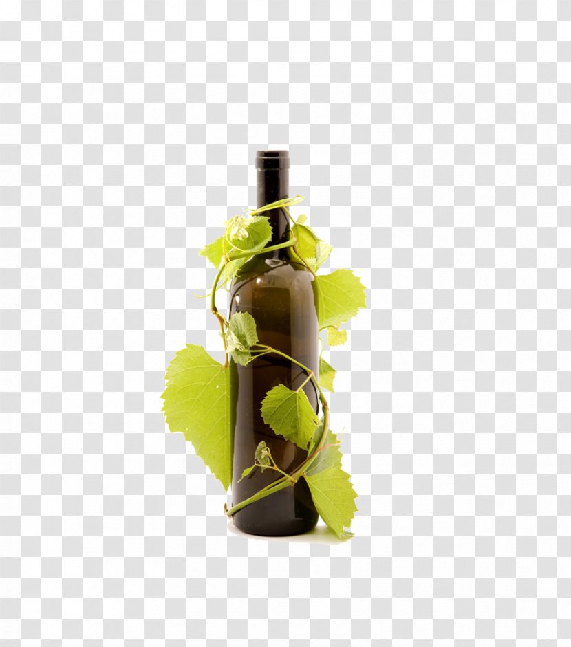 Red Wine Prosecco Beer Common Grape Vine - Bottle Transparent PNG