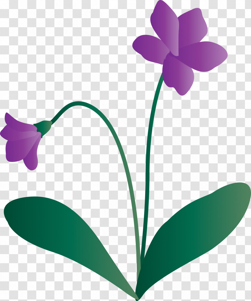 Violet Flower Transparent PNG