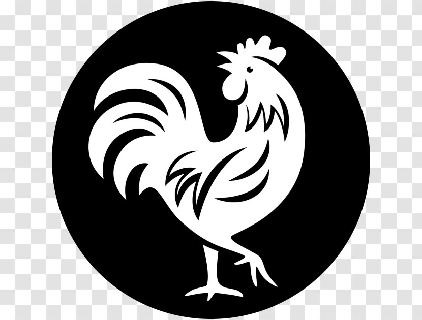 Chicken Poultry Cooking Rupert Test Kitchen - Game - Rooster Transparent PNG