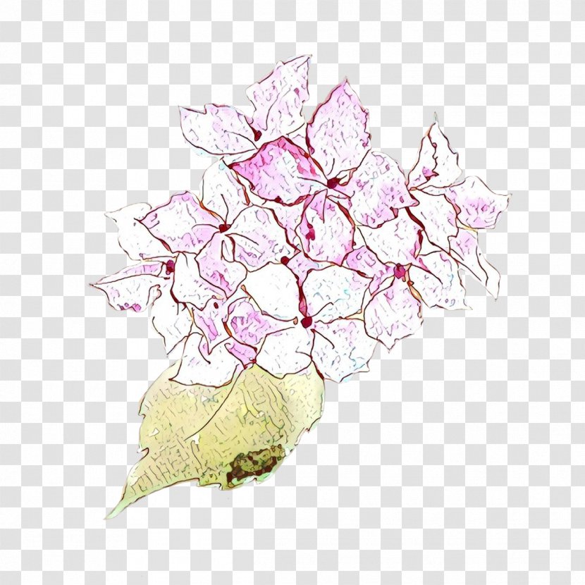 Pink Flower Plant Hydrangea Hydrangeaceae - Morning Glory Cut Flowers Transparent PNG