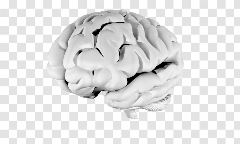 Brain - Silhouette - Frame Transparent PNG