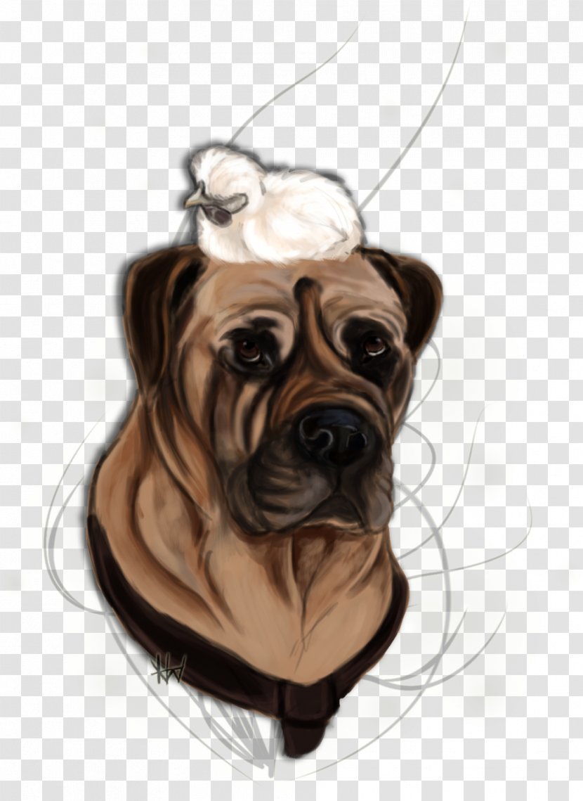 Dog Breed Pug Bullmastiff Puppy Snout Transparent PNG