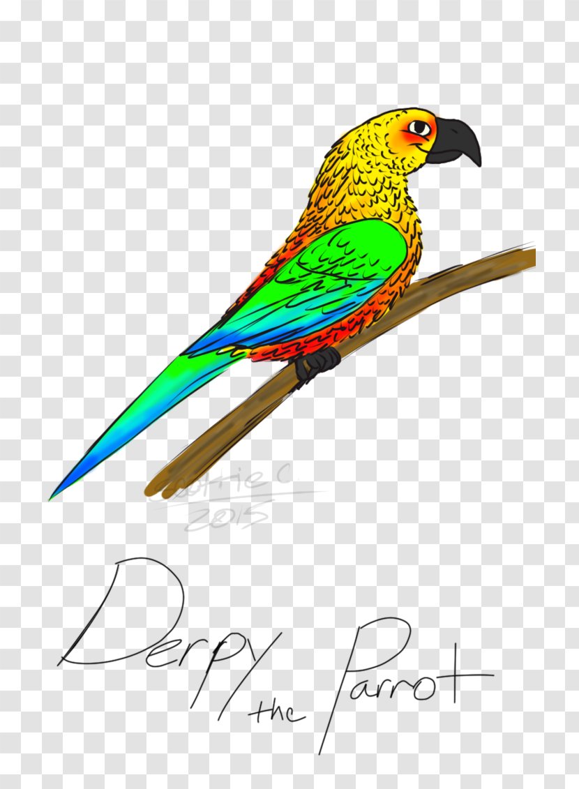 Macaw Parakeet Clip Art Feather Beak - Parrot Transparent PNG