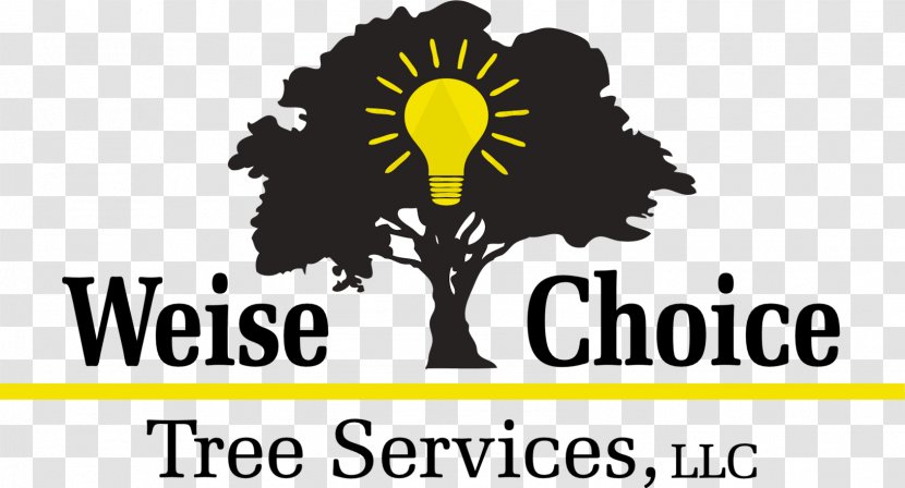 Weise Choice Tree Services, LLC Arborist Waterbury Company - Flowering Plant Transparent PNG