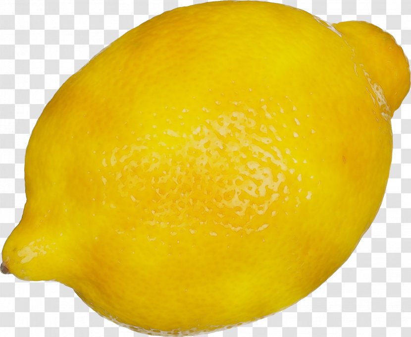 Lemon Citron Citric Acid Citrus - Sweet - Plant Transparent PNG