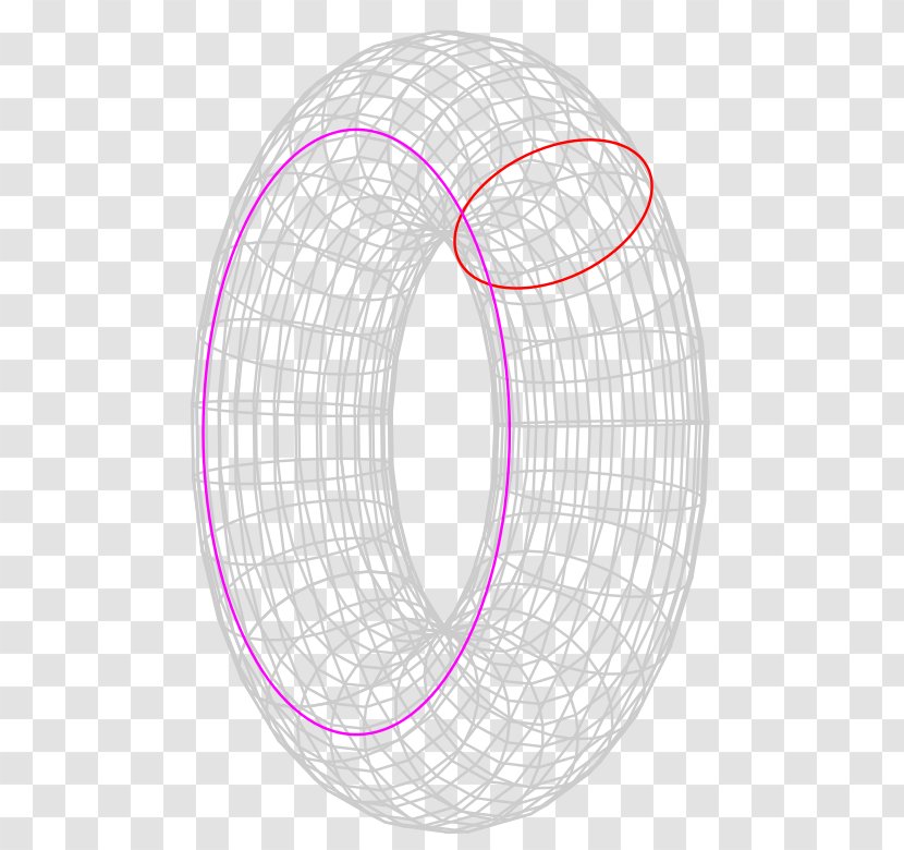 Circle Torus Mathematics Geometry Topology - Physics Transparent PNG