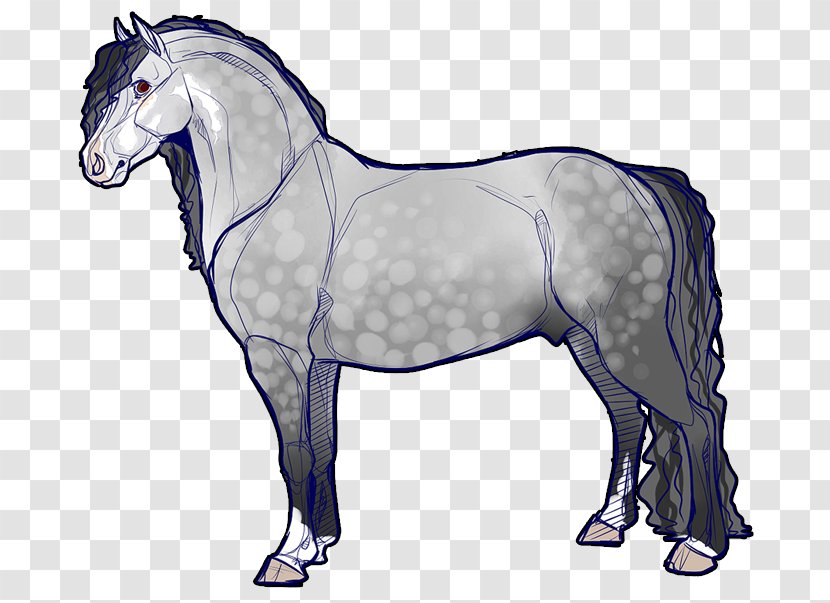 Mane Mustang Stallion Foal Pony - Animal Figure Transparent PNG