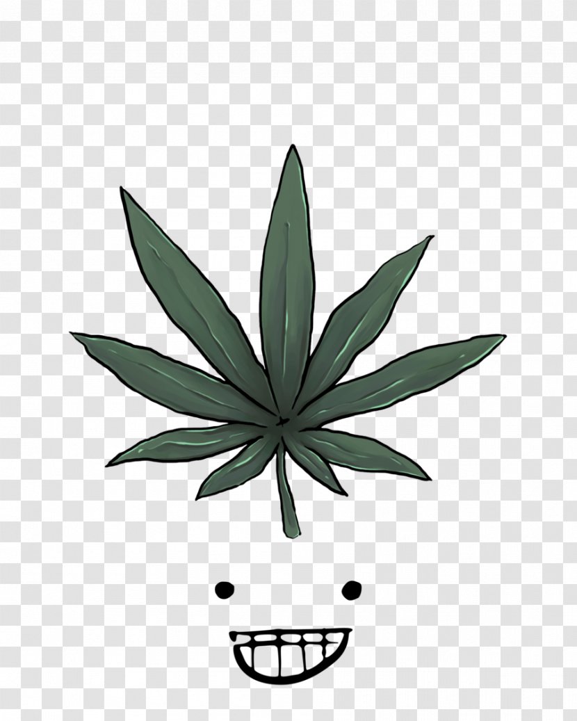 Medical Cannabis Drawing Legality Of - Photography - Weed Transparent PNG