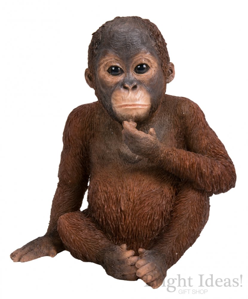 Orangutan The Arts Infant Statue Gift Transparent PNG