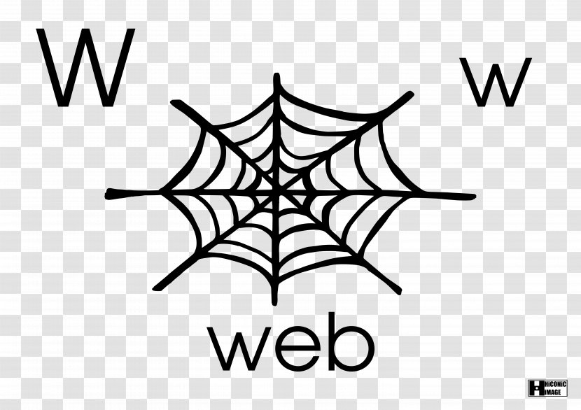 Spider Web Drawing - Invertebrate Transparent PNG