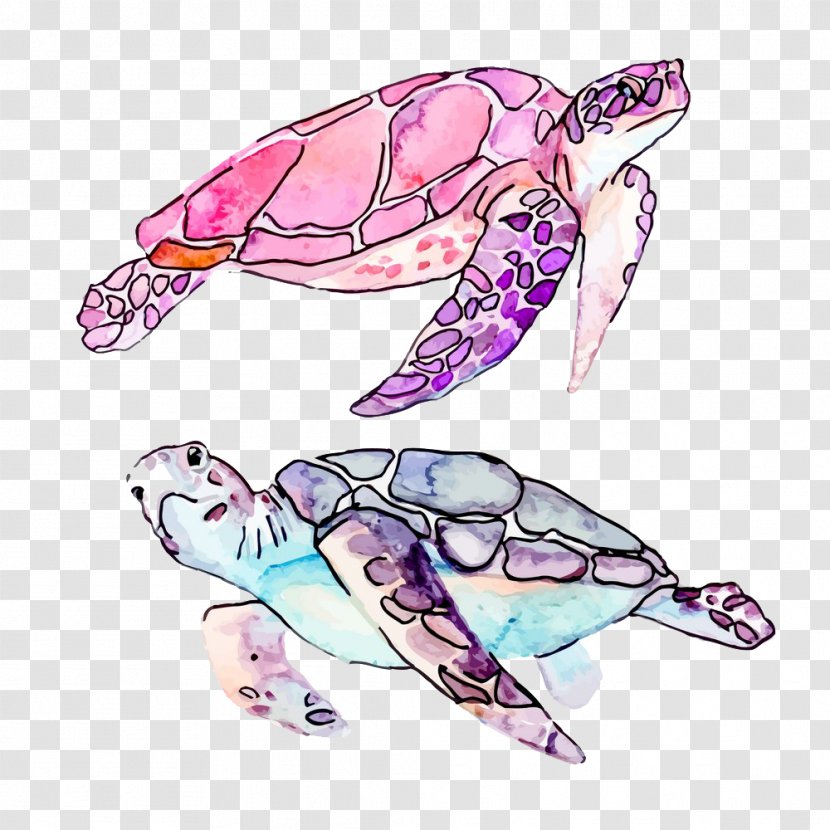 Sea Turtle Cartoon Illustration - Drawing Transparent PNG