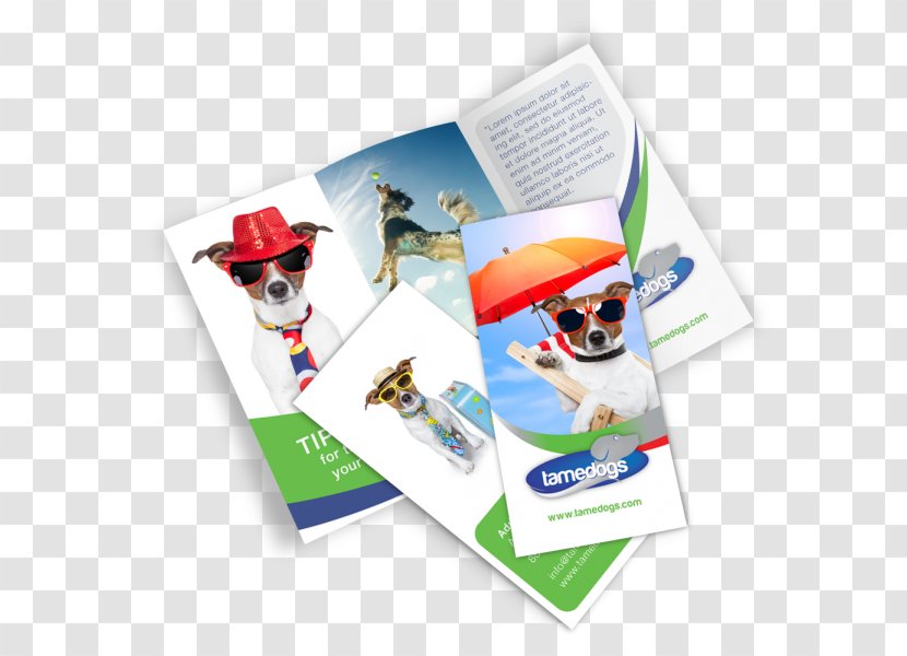 Brochure Mockup Template - Catalog - Design Transparent PNG