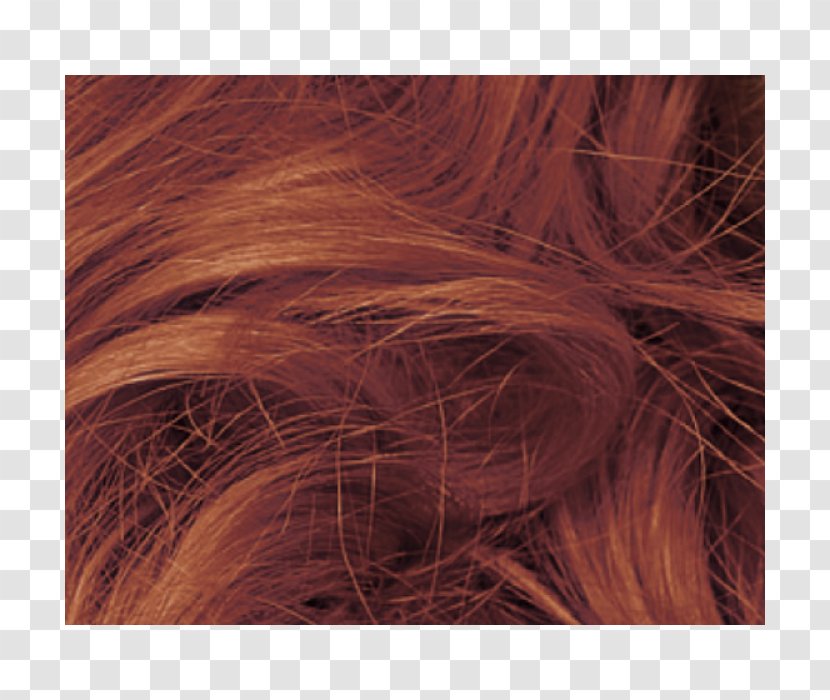 Hair Coloring Long Blond - Brown Transparent PNG