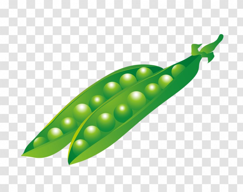 Pea Animation - Resource - Vector Green Peas Transparent PNG