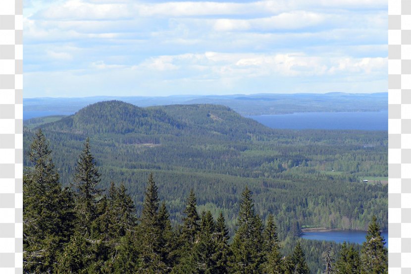 Koli, Finland National Park Encyclopedia Wikipedia - Highland Transparent PNG