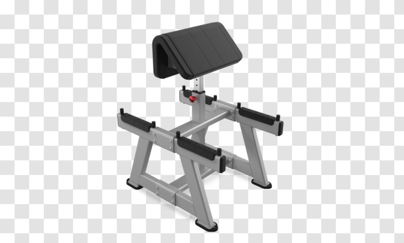 Bench Biceps Curl Star Trac Exercise Equipment Bikes - Elliptical Trainers - Disturbance Of Flies While Standing Transparent PNG