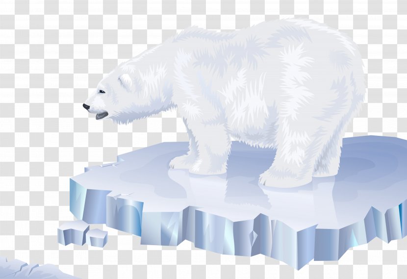 Polar Bear Arctic North Pole Los Osos Polares - Bears International Transparent PNG